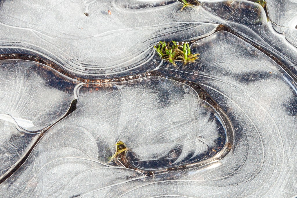 Icy curls - Kopparnäs 03/2020