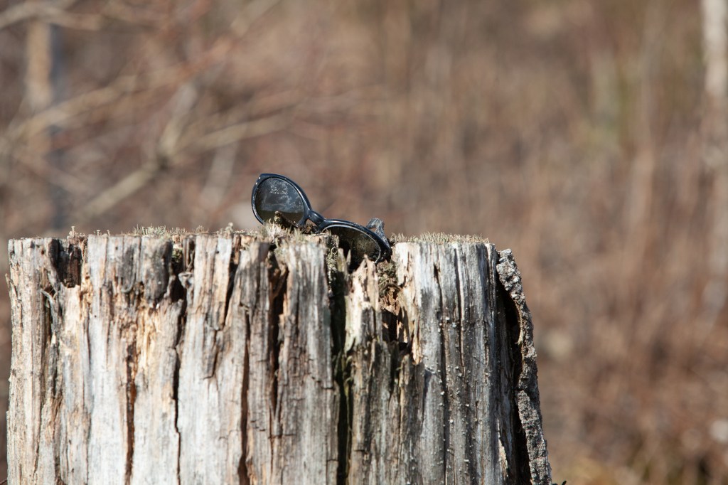 Lohjansaari lost sunglases 28.3.2020 @Minna Jacobson