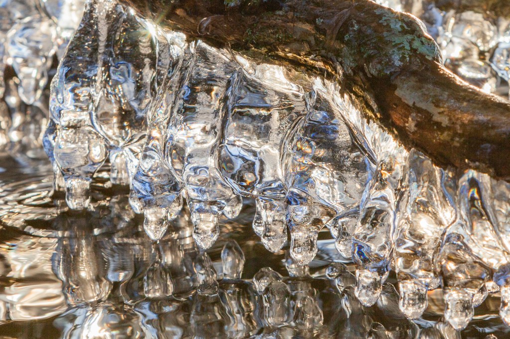 Ice sculptures winter 2019 snake