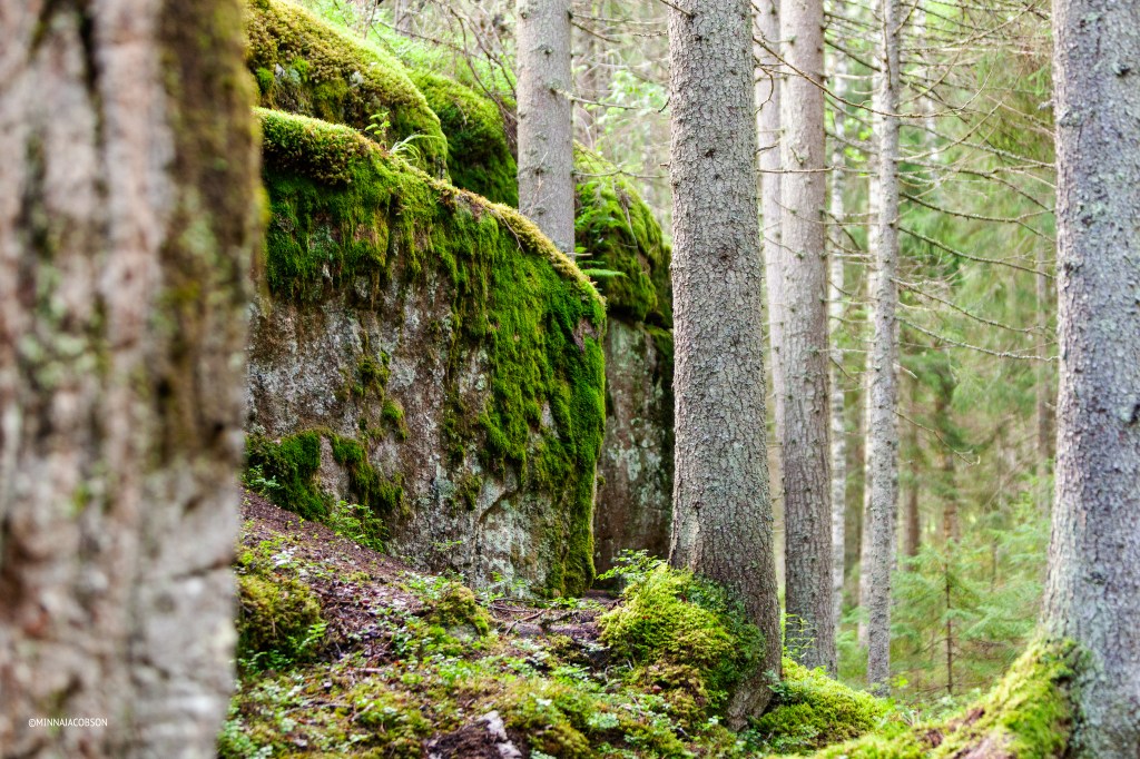 Karnaistenkorpi is a rocky area, Lohja Finland
