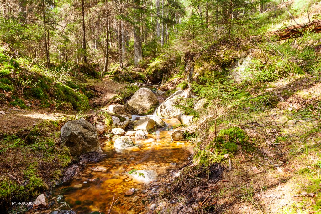 Spring creek, Meiko, Kirkkonummi, Finland