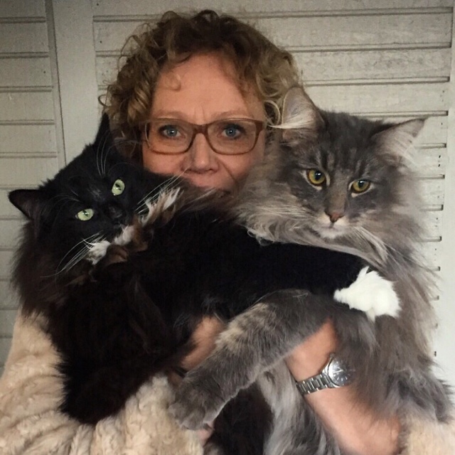 Rediscovering Photography After Loss: My Journey with the Canon R6 Mark ...