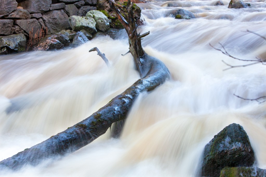 Latokartanonkoski Perniö Finland