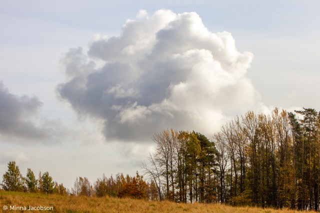 Autumn landscape, syksyinen maisema- @ Minna Jacobson 