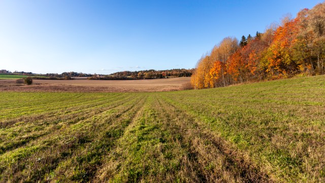 Autumn landscape in Siuntio, Finland @Minna Jacobson