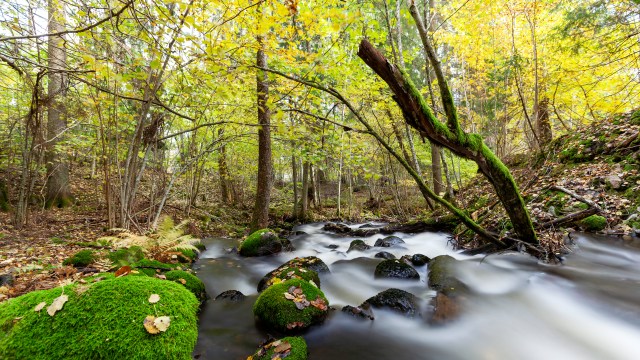 Rissla river, Fiskars, Finland @Minna Jacobson