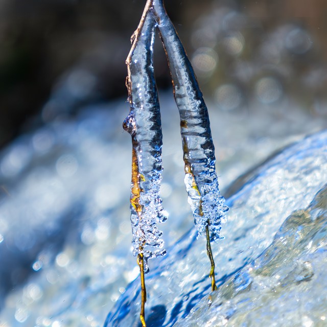 Branches cover with ice. Bokeh balls. Water, ice, Siuntio, Sjundby manor, Finland @Minna Jacobson