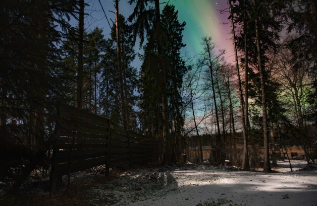 Green, red and violet Northern Lights, Finland, aurora borealis, Lohja, Lohjanjärvi, aurora crown @Minna Jacobson
