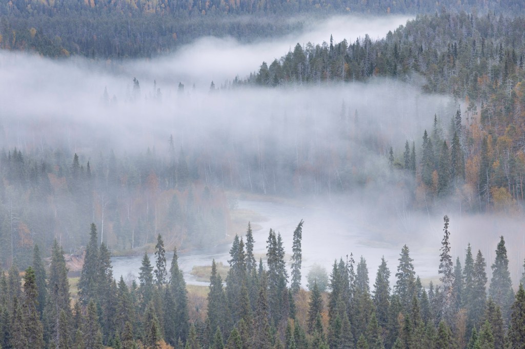Pähkänänkallio Kuusamo, Finland. Misty morning at sunrise by the Kitka River. Minna Jacobson copyright.