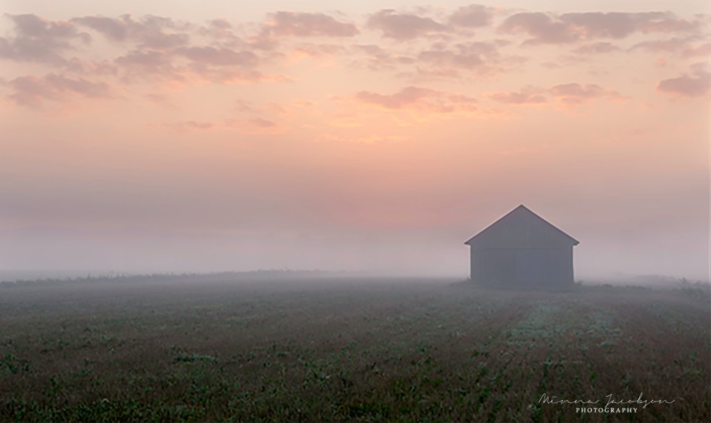 Minna Jacobson, Whisper of the Morning, misty field at dawn, Siuntio, Finland