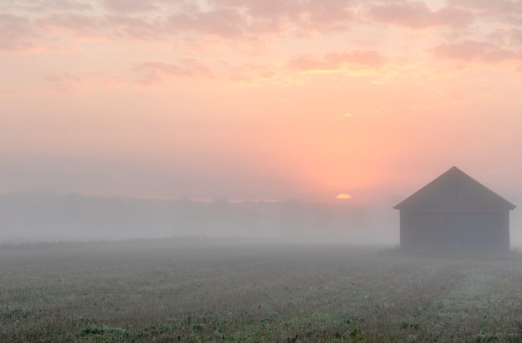 Minna Jacobson, Whisper of the Morning, misty field at dawn, Siuntio, Finland