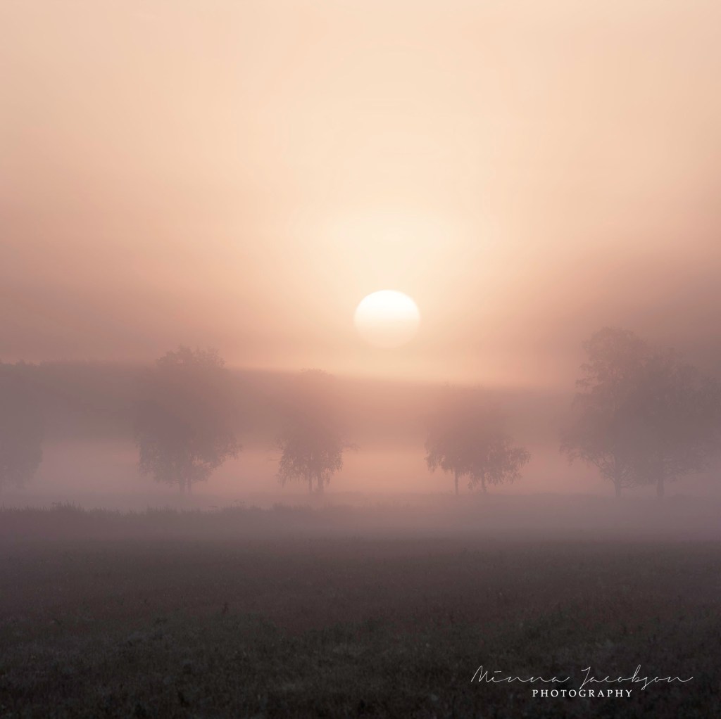 Minna Jacobson, Whisper of the Morning, misty field at dawn, Siuntio, Finland