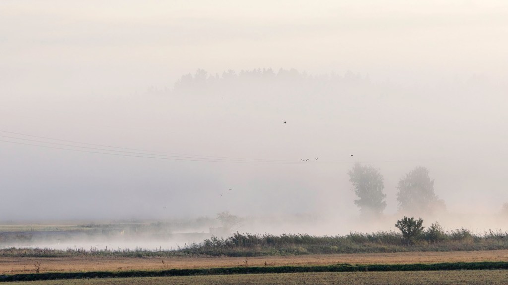 Minna Jacobson, Whisper of the Morning, misty field at dawn, Siuntio, Finland, migratory birds