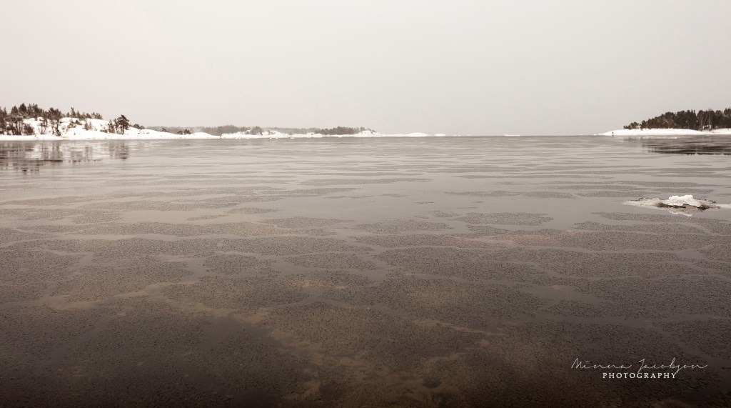 Pancake ice in Kopparnäsi, Finland. December 2023. Copyright Minna Jacobson. 