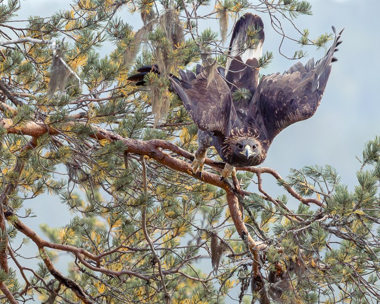 This image has an empty alt attribute; its file name is 6m3a4804-edit-edit.jpg