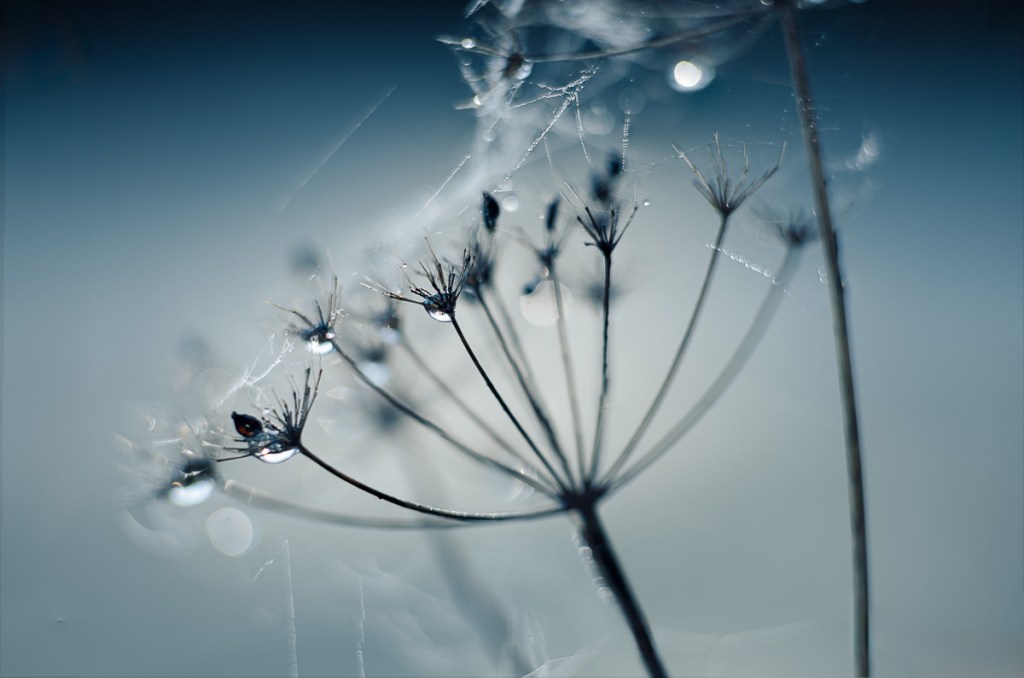 This image has an empty alt attribute; its file name is 6m3a6516-edit.jpg