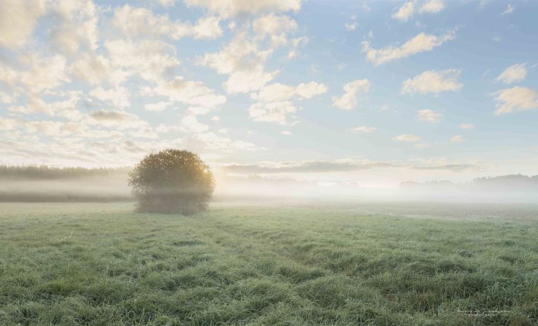 Sunlight shining through morning mist over an autumn field in Finland, warm backlight creating glowing atmosphere.